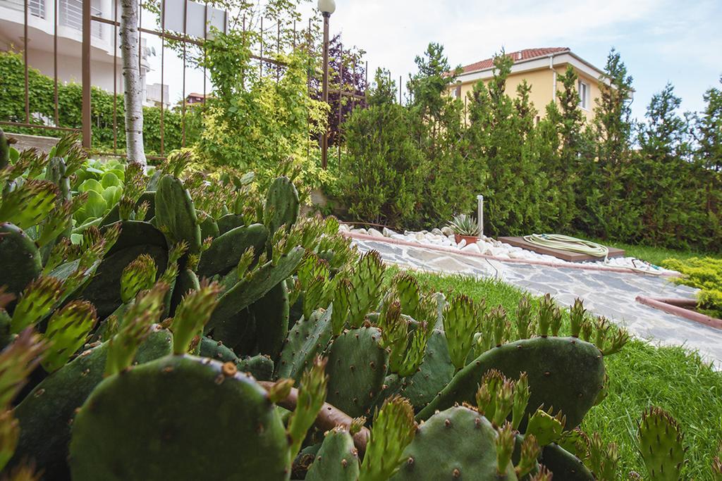 Jbh Hotel Sveti Vlas Dış mekan fotoğraf